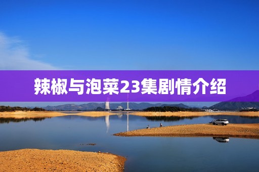 辣椒与泡菜23集剧情介绍
