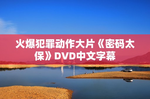 火爆犯罪动作大片《密码太保》DVD中文字幕