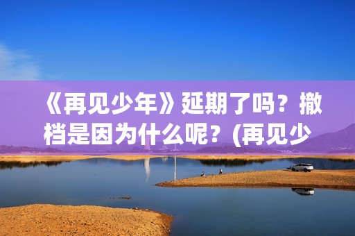 《再见少年》延期了吗？撤档是因为什么呢？(再见少年延期)