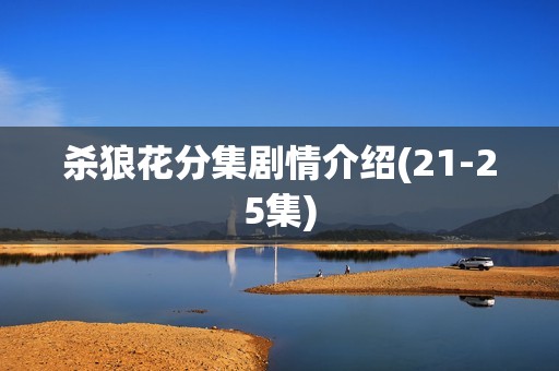 杀狼花分集剧情介绍(21-25集)