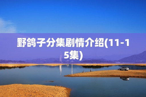 野鸽子分集剧情介绍(11-15集)