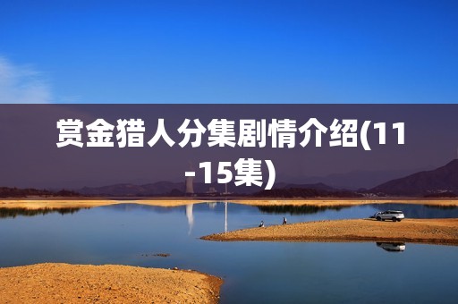 赏金猎人分集剧情介绍(11-15集)