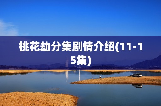 桃花劫分集剧情介绍(11-15集)