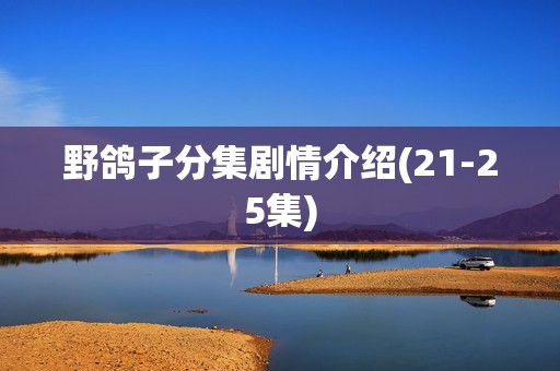 野鸽子分集剧情介绍(21-25集)