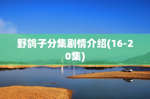 野鸽子分集剧情介绍(16-20集)