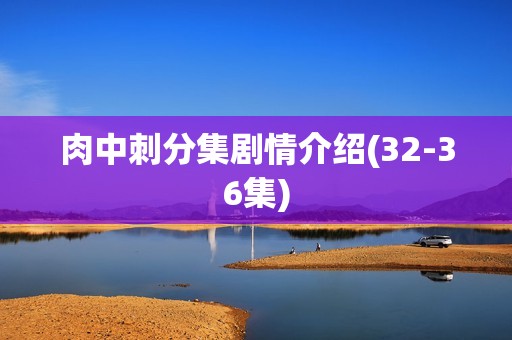 肉中刺分集剧情介绍(32-36集)