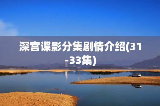 深宫谍影分集剧情介绍(31-33集)