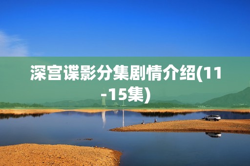 深宫谍影分集剧情介绍(11-15集)