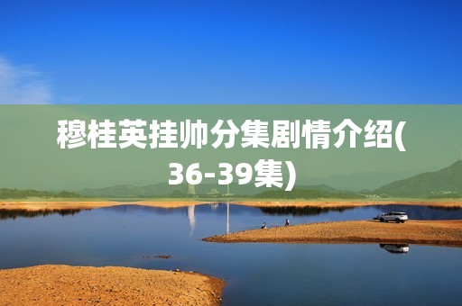 穆桂英挂帅分集剧情介绍(36-39集)