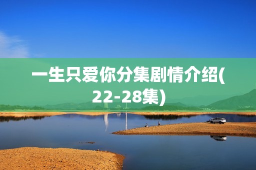 一生只爱你分集剧情介绍(22-28集)