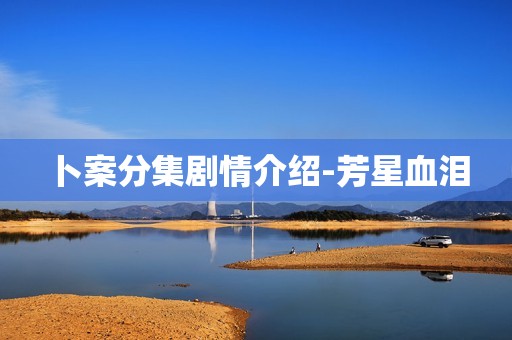 卜案分集剧情介绍-芳星血泪