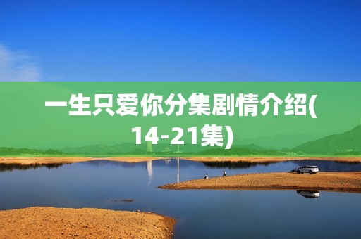 一生只爱你分集剧情介绍(14-21集)