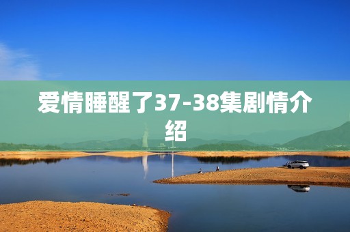 爱情睡醒了37-38集剧情介绍