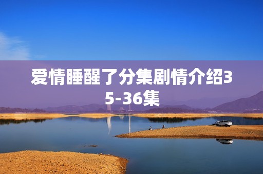 爱情睡醒了分集剧情介绍35-36集