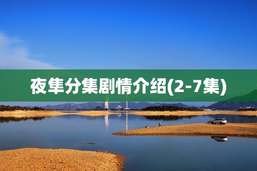 夜隼分集剧情介绍(2-7集)