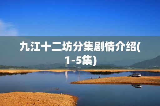 九江十二坊分集剧情介绍(1-5集)