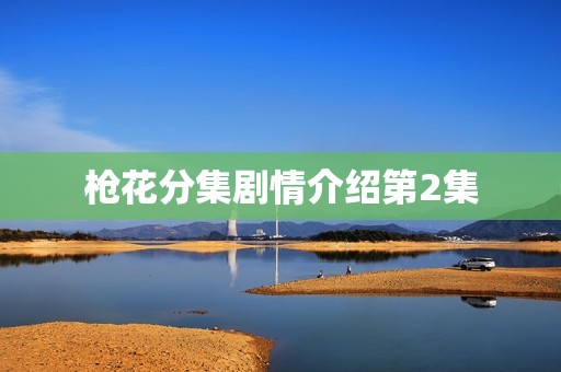 枪花分集剧情介绍第2集