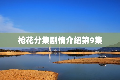 枪花分集剧情介绍第9集