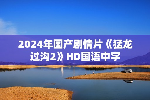 2024年国产剧情片《猛龙过沟2》HD国语中字