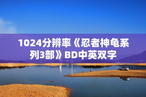 1024分辨率《忍者神龟系列3部》BD中英双字