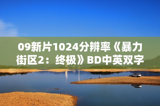 09新片1024分辨率《暴力街区2：终极》BD中英双字