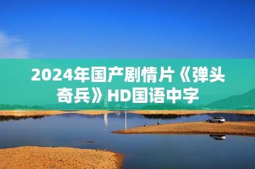 2024年国产剧情片《弹头奇兵》HD国语中字