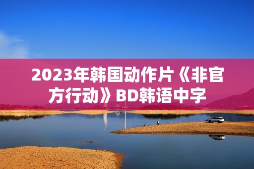 2023年韩国动作片《非官方行动》BD韩语中字