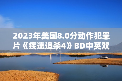 2023年美国8.0分动作犯罪片《疾速追杀4》BD中英双字
