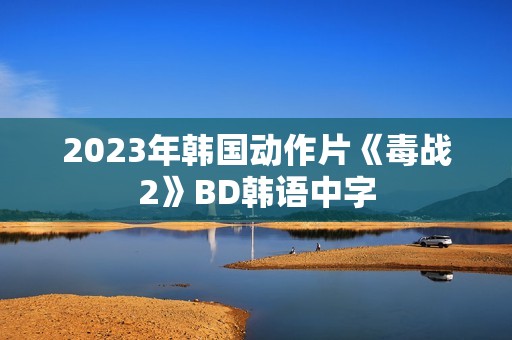 2023年韩国动作片《毒战2》BD韩语中字