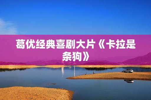 葛优经典喜剧大片《卡拉是条狗》