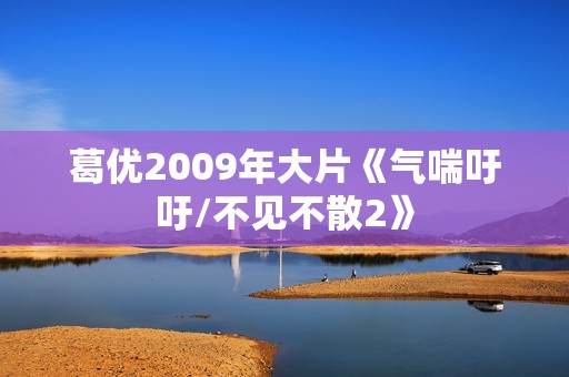 葛优2009年大片《气喘吁吁/不见不散2》