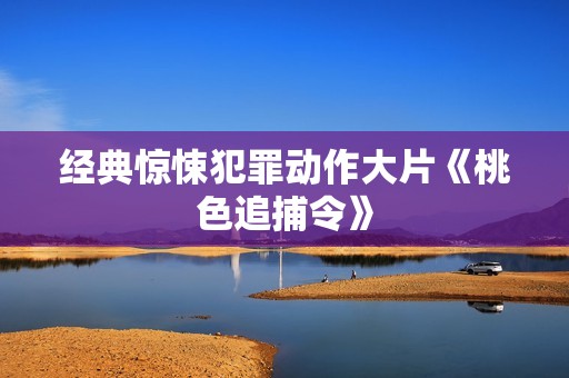 经典惊悚犯罪动作大片《桃色追捕令》