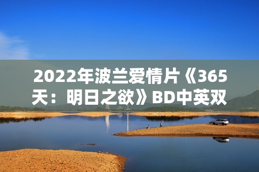 2022年波兰爱情片《365天：明日之欲》BD中英双字