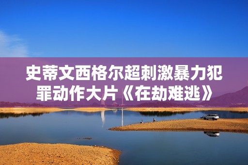 史蒂文西格尔超刺激暴力犯罪动作大片《在劫难逃》