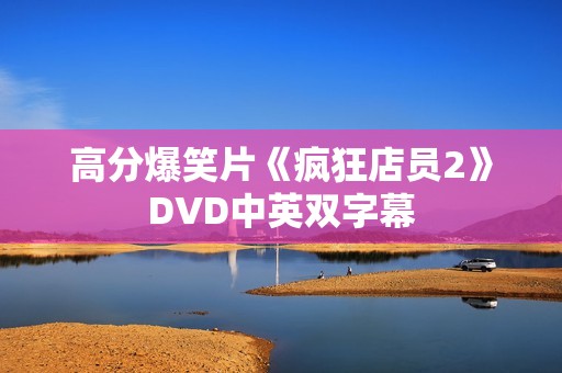 高分爆笑片《疯狂店员2》DVD中英双字幕
