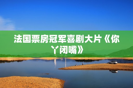 法国票房冠军喜剧大片《你丫闭嘴》