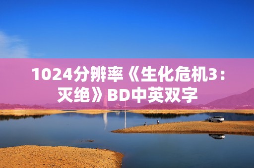 1024分辨率《生化危机3：灭绝》BD中英双字
