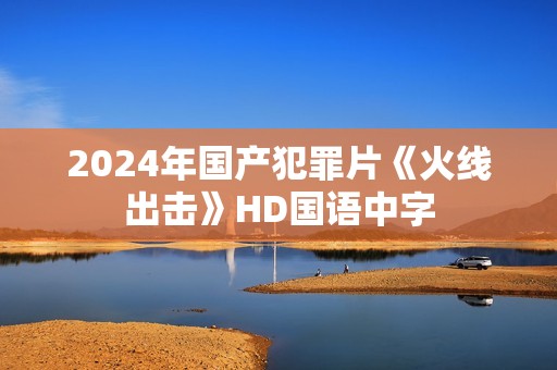 2024年国产犯罪片《火线出击》HD国语中字