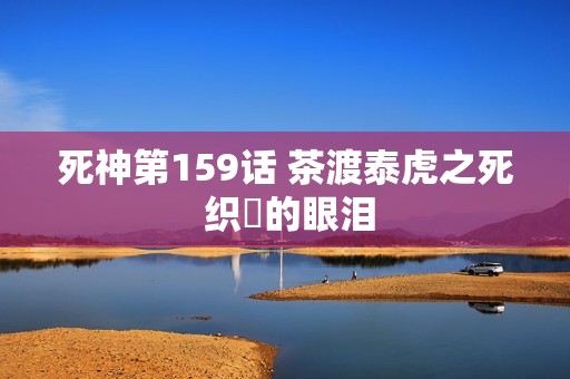 死神第159话 茶渡泰虎之死 织姫的眼泪