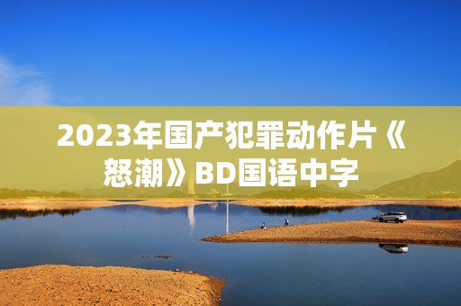 2023年国产犯罪动作片《怒潮》BD国语中字