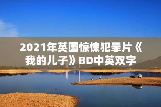 2021年英国惊悚犯罪片《我的儿子》BD中英双字