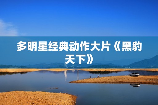 多明星经典动作大片《黑豹天下》