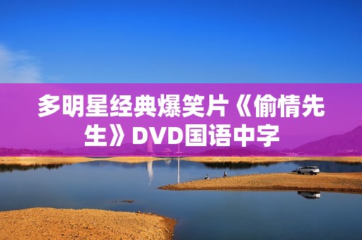 多明星经典爆笑片《偷情先生》DVD国语中字 多明星经典爆笑片《偷情先生》DVD国语中字