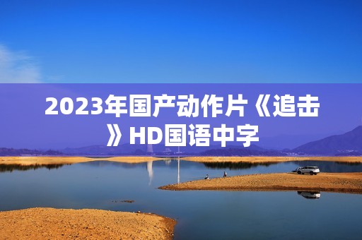 2023年国产动作片《追击》HD国语中字