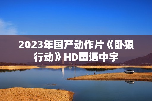2023年国产动作片《卧狼行动》HD国语中字