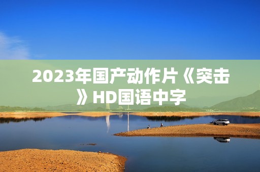 2023年国产动作片《突击》HD国语中字