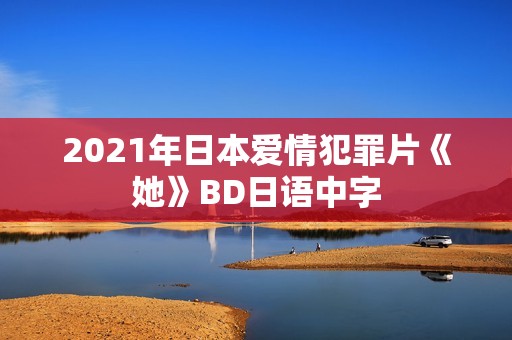 2021年日本爱情犯罪片《她》BD日语中字