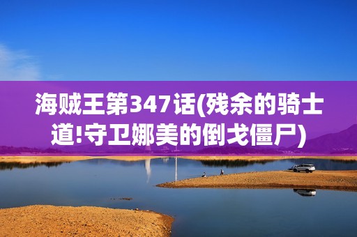 海贼王第347话(残余的骑士道!守卫娜美的倒戈僵尸)