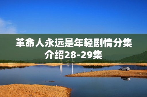 革命人永远是年轻剧情分集介绍28-29集