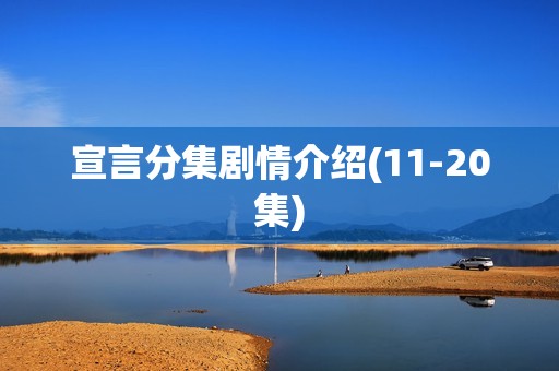 宣言分集剧情介绍(11-20集)